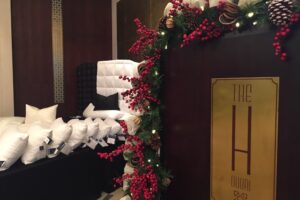 Presentations at 5 star hotels for 2018