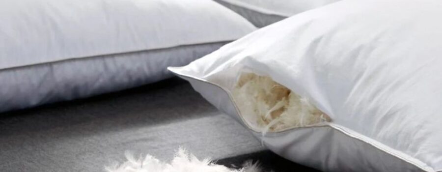 Choosing the right Pillow collection for your Hotel Guests